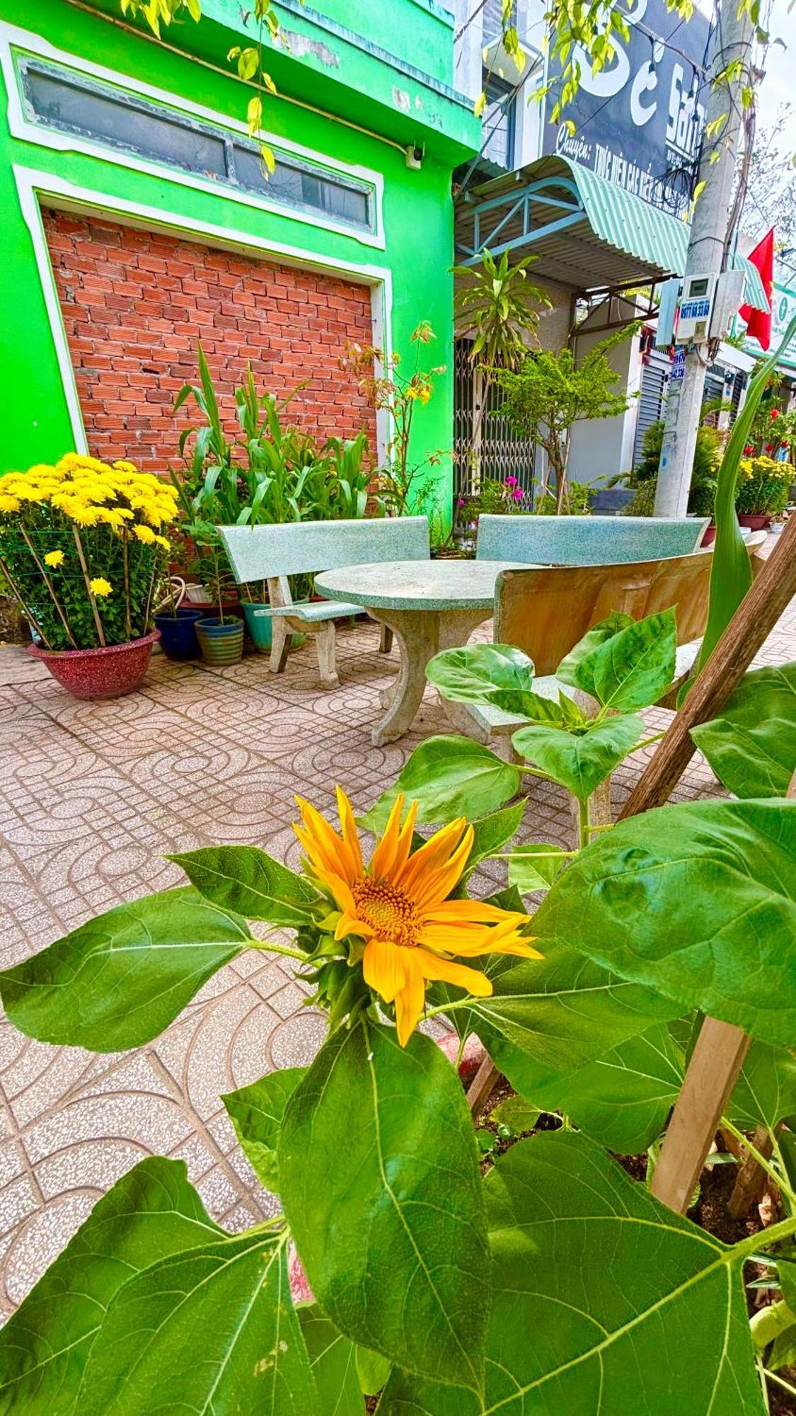 Thuy Hang Motel Лонг Хай Екстериор снимка
